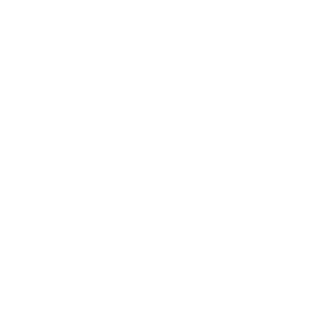 logo BOSS